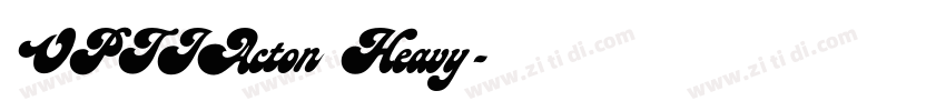 OPTIActon Heavy字体转换